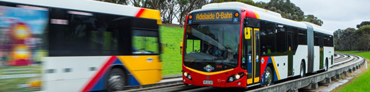Buses on the Adelaide O-Bahn